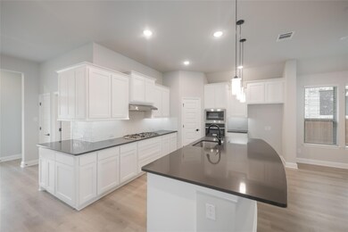 4632 Lyreleaf Dr, Fort Worth, TX 76036 - photo 7