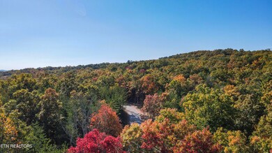 109 Cherokee Path, Tellico Plains, TN 37385 - photo 4