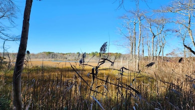 17 Angus Ave, South Yarmouth, MA 02664 - photo 7