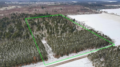 20 Acres County Road D, Waupaca, WI 54981 - photo 2