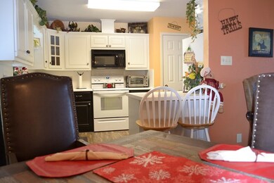 107 W Grothe St, Fredericksburg, TX 78624 - photo 6