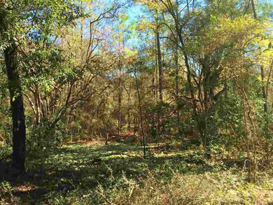xx Heritage Creek Rd, Crawfordville, FL 32327 - photo 3