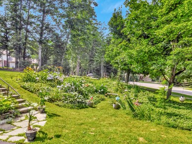 03_DJI_0383_DxO_mls