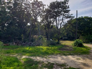 18 Pilgrim Rd, Edgartown, MA 02539 - photo 5