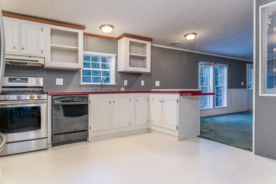 131 Flat Ground Rd, Acton, ME 04001 - photo 3