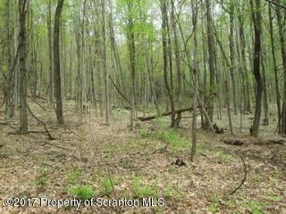 1710 Beaver Pond Rd, Clarks Summit, PA 18411 - photo 6