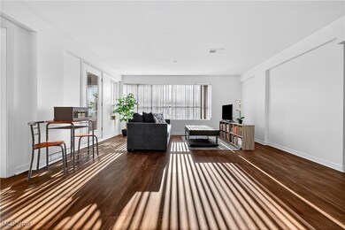Living area with dark wood-style floors and baseboards