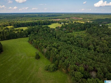 0 County Road 32 unit 21428567, Double Springs, AL 35553 - photo 6