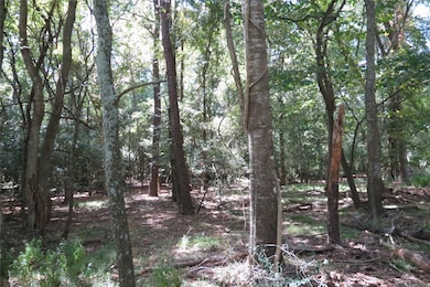 TBD 10.24acres Townley Ranch Rd, Dodge, TX 77320 - photo 7