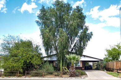 Front View