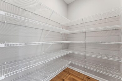 Huge walk-in pantry with abundant shelving for organized storage and easy access to everyday essentials.