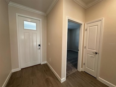 17216 Mango Shay Ct, Land O' Lakes, FL 34638 - photo 2