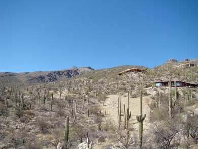 view towards Mt Lemmon
