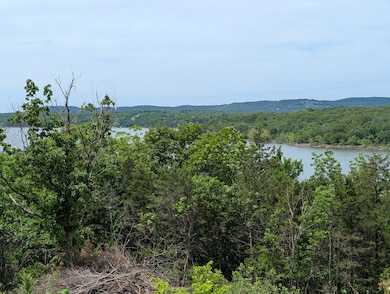 PXL_20250510_174830803 (1)