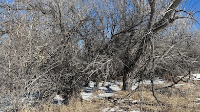Lot 17-wetlands