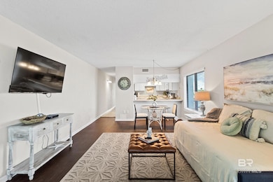 Island Sunrise unit 269, Gulf Shores, AL 36542 - photo 3