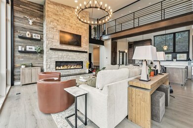 2520 Boreas Pass Rd, Breckenridge, CO 80424 - photo 6