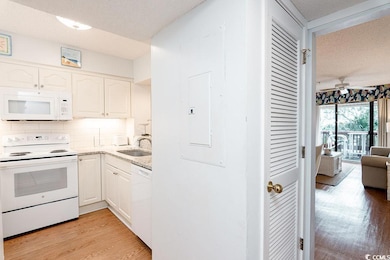 410 Melrose Place unit 308, Myrtle Beach, SC 29572 - photo 4