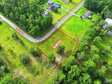 TBD Stanley Dr, Wewahitchka, FL 32465 - photo 3