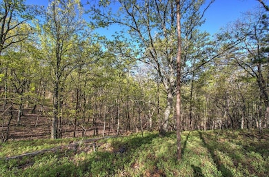 0 Mckibben Rd unit 210, Buchanan, GA 30113 - photo 4