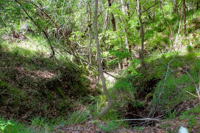 TBD S Highway 61, Vicksburg, MS 39180 - photo 7