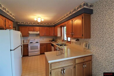 317 13th St N, New Ulm, MN 56073 - photo 5