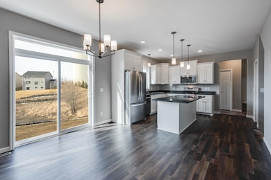 2046 Coneflower Point, Buffalo, MN 55313 - photo 5