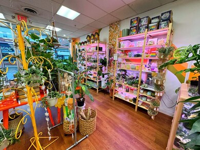 245 Walnut St, Morgantown, WV 26505 - photo 7