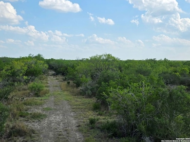 A-735 Franklin Ranch Rd, Tilden, TX 78027 - photo 3