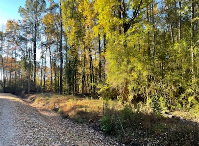 00 Digit Rd, Summerville, SC 29483 - photo 4