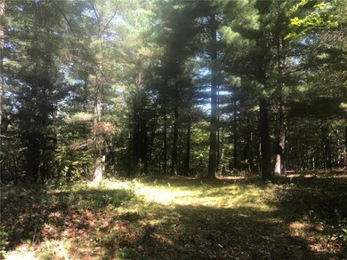 IMG-4056