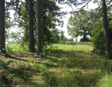 Land.