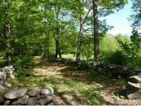 651 E Deering Rd, Deering, NH 03244 - photo 3