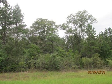 / Spring Valley Dr unit 75, Byron, GA 31008 - photo 3