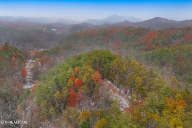 0 Old 15th Rd, Hartford, TN 37753 - photo 2