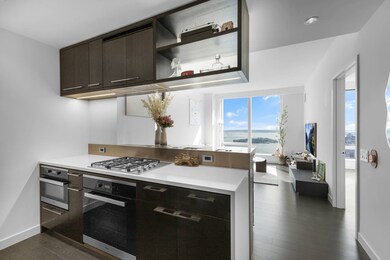 One Manhattan Square unit 73K, New York, NY 10002 - photo 3