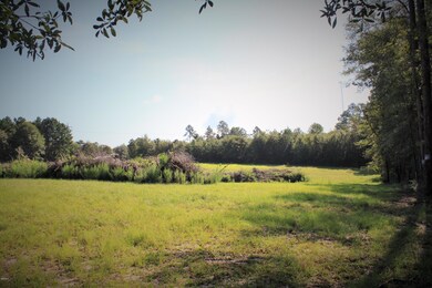 172 Poney Ln S, Lucedale, MS 39452 - photo 6