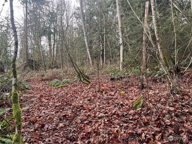 0 XX Valley View Rd, Sedro Woolley, WA 98284 - photo 2