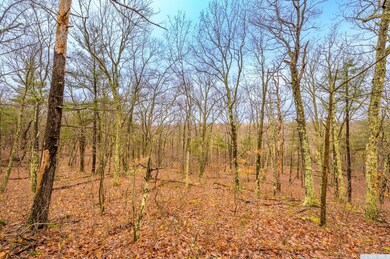 131 Benton Rd, Gallatin, NY 12502 - photo 7