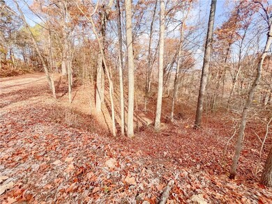 0 Meg Ln unit 1232777, Bella Vista, AR 72714 - photo 4