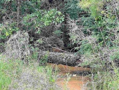 1131 Wolf Log Rd, Flomaton, AL 36441 - photo 2