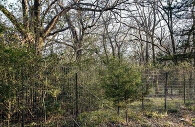 911 Benton St, Bonham, TX 75418 - photo 4