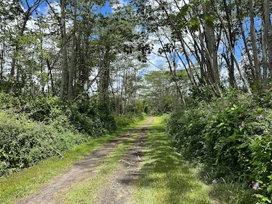 Looking down Plumeria towards Kapuna, lot is on the left.