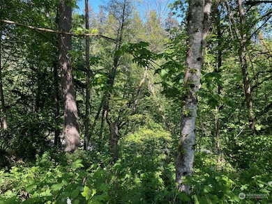 32534 44th Ave S, Federal Way, WA 98001 - photo 2