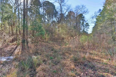 4231 Roscoe Rd, Myrtle Beach, SC 29588 - photo 7