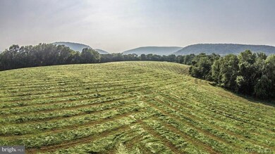 0 Jefferson Pike unit 1000240744, Knoxville, MD 21758 - photo 4