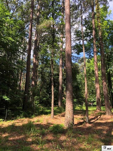 0 Claiborne Rd, Calhoun, LA 71225 - photo 5