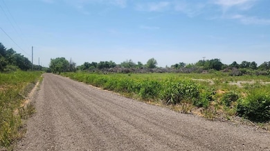 View of dirt / gravel road with a view of rural / pastoral area
