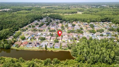 9327 Pontiac Dr, Tampa, FL 33626 - photo 4