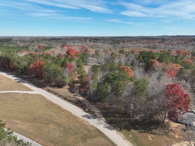 42 County Road 82, Fruithurst, AL 36262 - photo 3